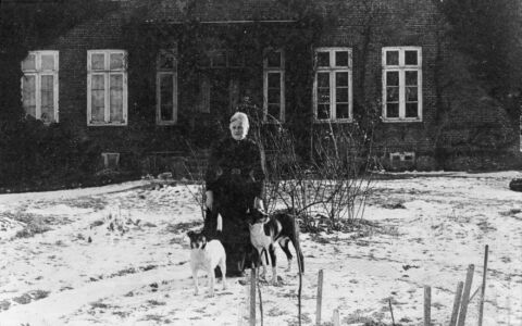 Freiburg historisch