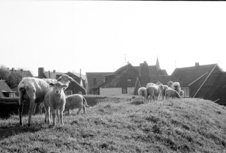 p745