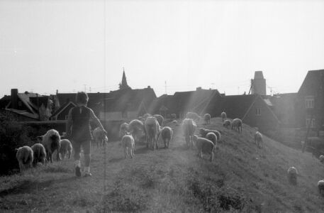 p746