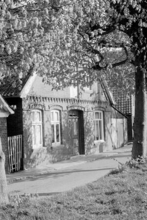 WHH-008 - Hühnerhörne