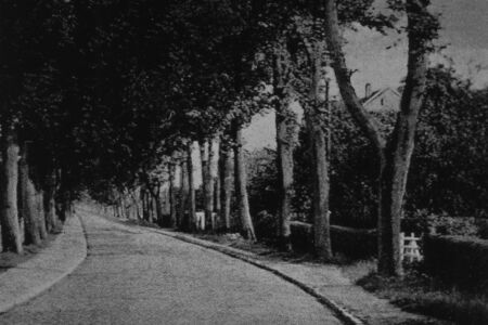 P044 - Allee
