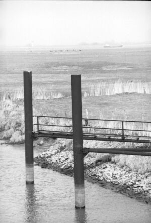 P 1154