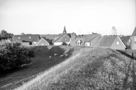 P 1163