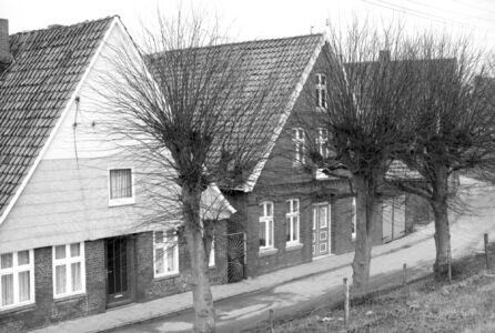WHH-051 - Hühnerhörne
