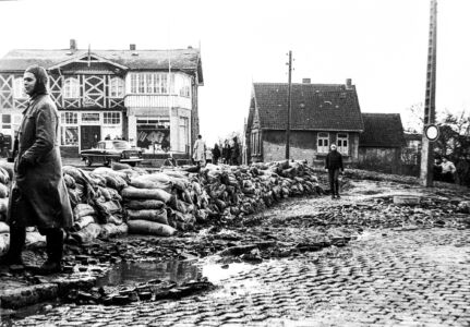 P 1849 - Hochwasserschutz am Hafenhaus