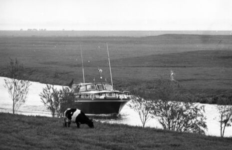 P 2867